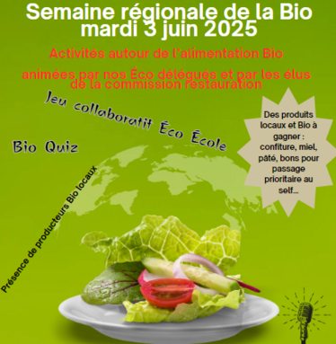 Capture d'écran 2025-06-02 205816.png