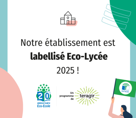 Capture d'écran 2025-06-15 163357.png